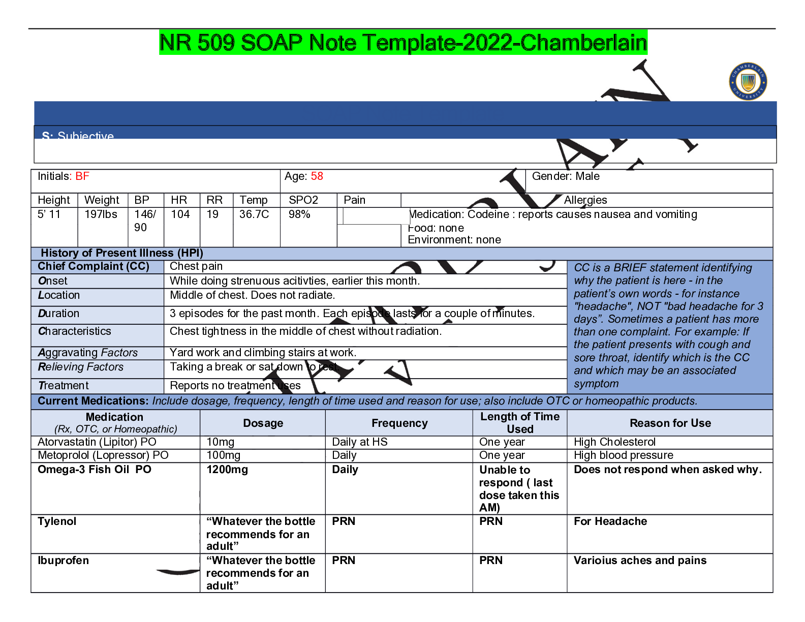 Preview of NR 509 SOAP Note Template-2022-Chamberlain